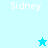 Pixelated 'Sidney' text appears on light blue backgrounds with a small star icon in two positions.
