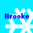 Four white snowflake icons with blue text 'Brooke' on a bright blue background, each snowflake has distinct pixelated branches and varying symmetry.