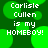 Green background with pixelated text reading "Carlisle Cullen is my HOMEBOY!" in white, repeated four times in a