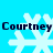 Pixelated snowflake icons with repeated text 'Courtney' on a bright blue background, displayed in a