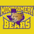 A 48x48 pixel AIM buddy icon featuring a split yellow and purple background with "Montgomery Bears" text, a bear mascot wearing a Texas-shaped hat, and "Class Of 09" text in two sections.