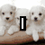 Three white puppies sit on a light brown surface with the letter I overlaid; below, a person's face appears under GIRLS text and above LOVE in purple heart background.