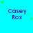 Blue background with green stars and repeated 'Casey Rox' text in blue pixelated font across a