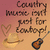Pixelated image with gradient background showing text 'Country Music just for Cowboy' and icons of a cowboy hat, guitar, and heart.