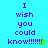 Pixelated text "I wish you could know!!!!!!" on a split background with cyan and green sections, featuring a small star symbol.