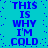 Blue pixelated text on cyan background repeats 'THIS IS WHY I'M COLD' in a pattern with scattered dots