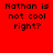 Red background with black pixelated text reading "Nathan is not cool right?" repeated in four identical quadrants.