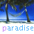 Animated sequence of palm trees on a beach with hammocks, text "paradise" repeated across three in blue and purple lettering