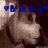 Pixelated image of a cartoon animal with blue text overlays showing 'Bobs', 'his', and 'name' in different frames.