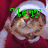 A cat in a Santa hat and red outfit with green text reading 'Merry Christmas' appears across four