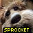 A pixelated dog face with a black nose and white fur patches appears in three , each displaying the word "SPROCKET" in different colors