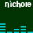 Dark green background with cyan audio equalizer bars and repeated white text 'nichole' in pixelated font.