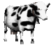 Nine black-and-white cow icons arranged in a , each cow with unique head and body orientation against a solid gray background