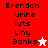 Pixelated text reads 'Brendon urine luts Liny Banks' with a white star on red background and a red star on white background.