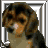 A beagle dog with brown, black, and tan fur appears in a of six with a white and gray striped border