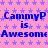Pixelated blue text on pink background with repeating light purple stars, reading 'CammyP is Awesome' in three lines.