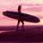 iconhell_crazychica139_icon_sunsetsurfer
