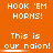 Orange background with repeated white pixelated text 'HOOK 'EM HORNS!' and 'This is our naion!' in a pattern