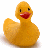 Animated rubber duck icon with red beak and black eyes, positioned above text reading 'ducky' in lowercase letters.
