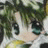 A 48x48 pixel buddy icon featuring a chibi-style anime character with green hair and large eyes on the left, paired with text reading "Anime IM" and "COM" on a black background to the right.