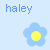 Pixelated flower icons with yellow centers in blue, pink, and purple hues appear below corresponding text labels on a light blue background.