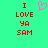 A static pixel art image with a bright green background, red text reading "I LOVE YA SAM" in four lines, and a pink pixelated heart symbol above the text.