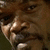 A split-screen image shows a person's face with text overlays; left side reads "ENGLISH MOTHER FUCKER" and right side reads "DO YOU SPEAK IT?" with "jo sup" above the right face.