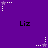 Purple background with repeated 'Liz' text and animated star-and-dot patterns changing across frames.