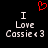 Red pixelated heart symbol above white text reading 'I Love Cassie <3' on black background, duplicated side-by-side.