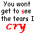 Pixelated text displays 'You wont get to see the tears I cry' with red and black lettering on white background, repeated in two