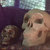 Pixelated static image shows two human skulls against a dark background with a light blue upper section.