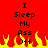 Red background with black text reading "I Sleep My Ass Off" and yellow-orange flames at the bottom, displayed in two identical side-by-side