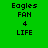 Four display pixelated text 'Eagles FAN 4 LIFE' on green and white backgrounds with no visible motion