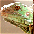 Pixelated green fish with brown accents, white highlights, and a dark eye, set against a light brown background.