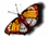Animated sequence of a butterfly icon in various sizes and orientations, showing progressive reduction from full wingspan to folded wing position.