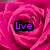 Four distinct floral images arranged in a , each with overlaid text: 'Live' on a pink rose, 'Love' on a purple rose, 'Laugh' on a mixed bouquet, and a blank gray