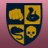 A pixelated crest with four quadrants on a pink background, next to the word BULLY in gold letters and an R star logo below.