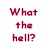 Pixelated maroon text on white background reads 'What the hell?' on left and 'Icons Are Gay' on right.