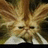Pixelated image of a character with spiky hair and closed eyes, accompanied by text reading "Bad Hair Day?" and "You've Got It Good." on dark green backgrounds