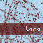 A static image of a repeating pattern with the word 'Lara' in white text on dark red bars over a light blue background with brown branching lines.