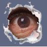 A pixelated eye peers through a torn paper hole in blue background, then closes into a smooth brown oval shape before returning to open state.