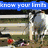 A four- of pixelated images with overlaid text, showing a person on horseback in various poses and settings