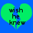 Two identical green heart-shaped icons with black text 'wish he knew' on a blue background, each split into two halves.