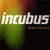 Pixelated static image featuring the word 'incubus' in white text over a gradient background with green, orange, and dark red tones.