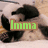 Animated sequence of a panda lying on its back with text overlays changing across frames.