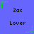 Blue background with repeating text 'Zac' and 'Lover' in black pixelated font, surrounded by green star-shaped animations with trailing dots.