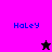 Four display the name 'HaLeY' in blue pixelated text with a black star and pink star icon on different backgrounds
