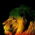 Animated sequence of a lion's head in profile, showing subtle facial expression changes against dark background.