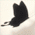 Animated contact sheet of a black butterfly icon with multiple motion states and a promotional banner for Tori Amos's album "The Beekeeper" in the bottom-right corner.