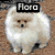 Pixelated dog with white fur and brown background, next to a colorful abstract shape with 'Loves' text, and a cartoon character with 'Roxi' text.